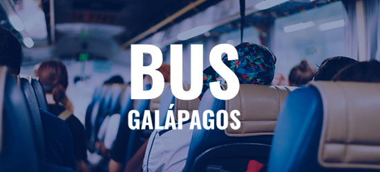 personas en un bus